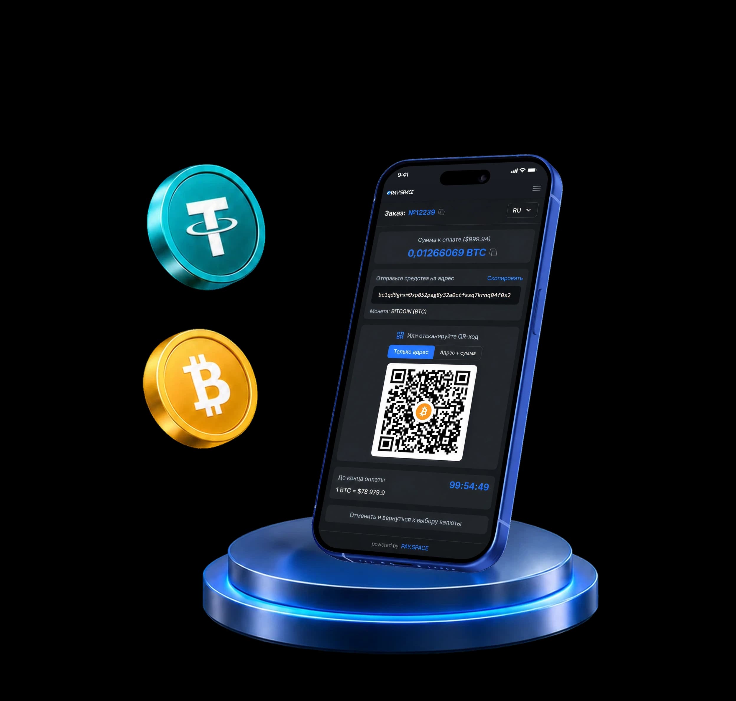 Pay.Space payment form